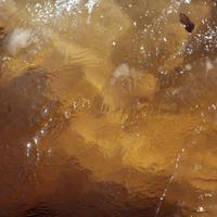 111814-centennialpark-013