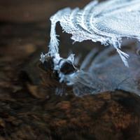 111814-centennialpark-046