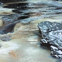 111814-centennialpark-056