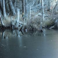 112012-centennialpark-043