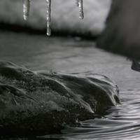 122825-CentennialPark-040