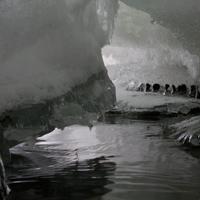 122825-CentennialPark-043
