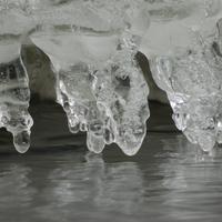 122825-CentennialPark-057