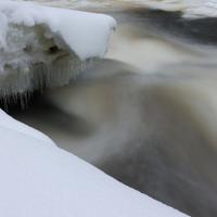 122825-CentennialPark-068