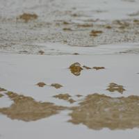 122825-CentennialPark-108