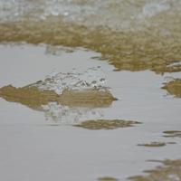 122825-CentennialPark-109