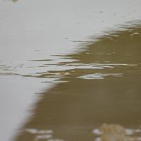122825-CentennialPark-111