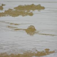 122825-CentennialPark-119