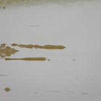 122825-CentennialPark-123