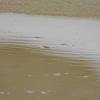 122825-CentennialPark-128