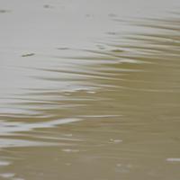 122825-CentennialPark-129