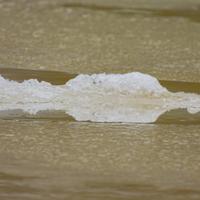 122825-CentennialPark-133